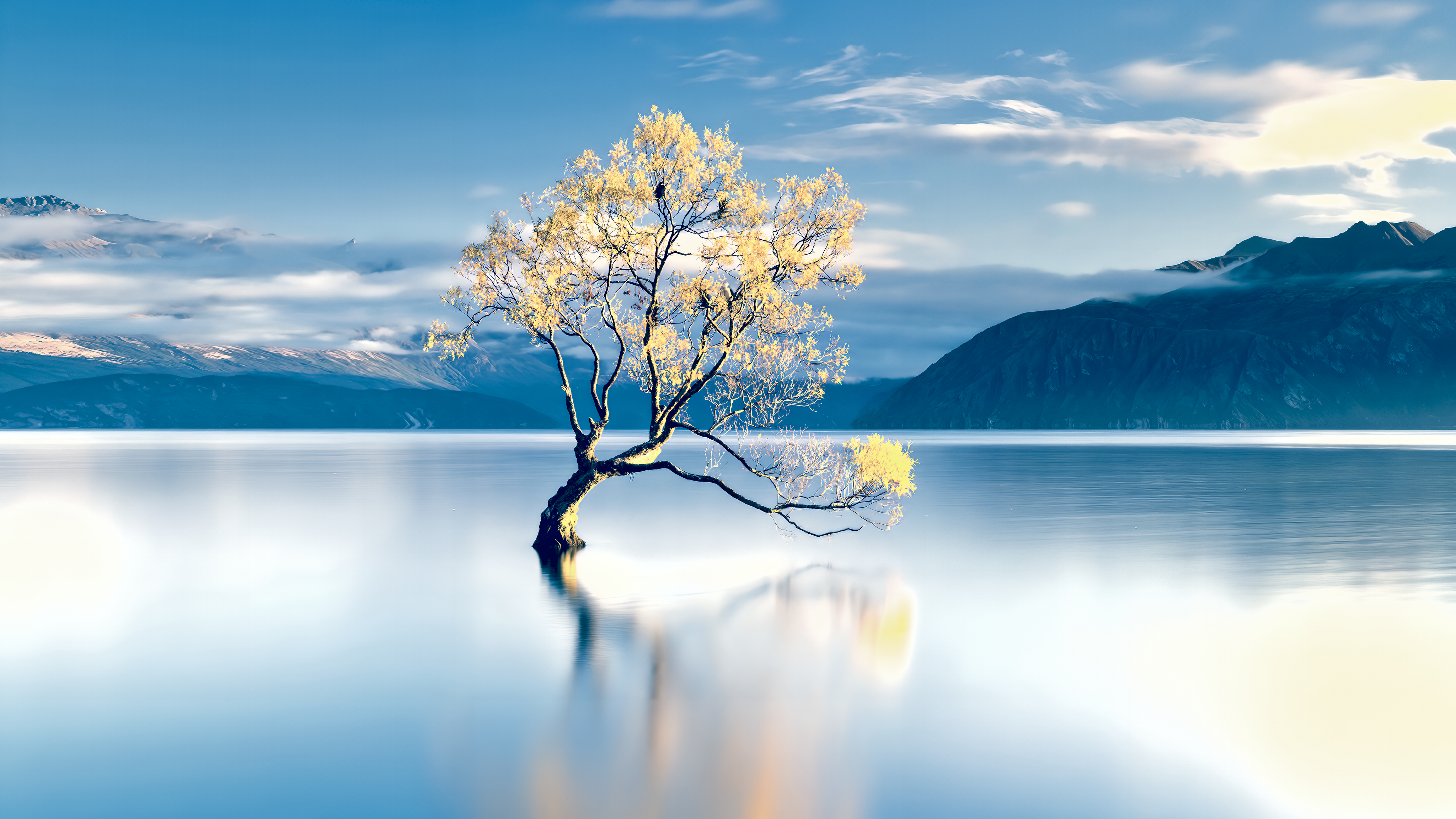 Cover Image of the Post