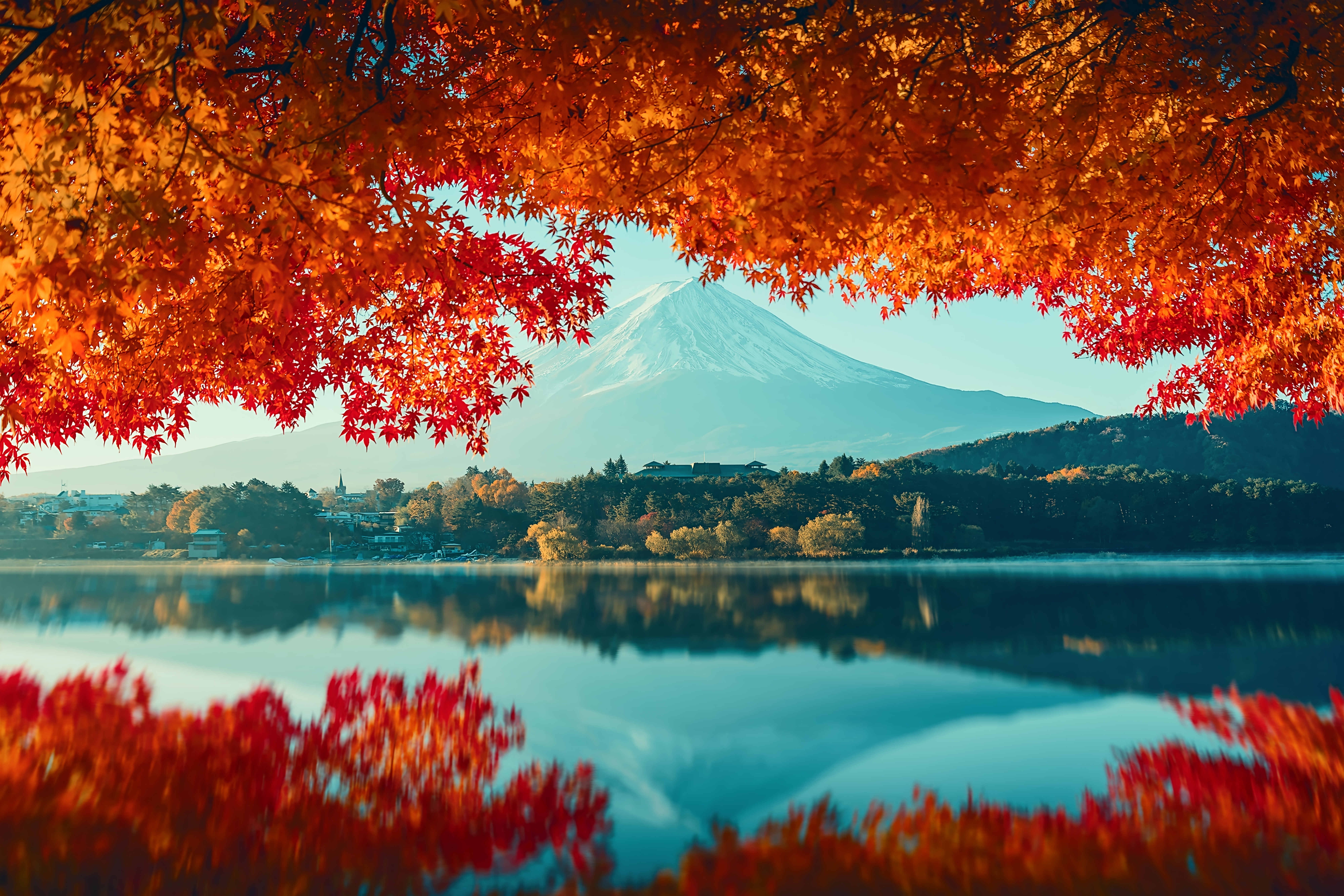 Cover Image of the Post