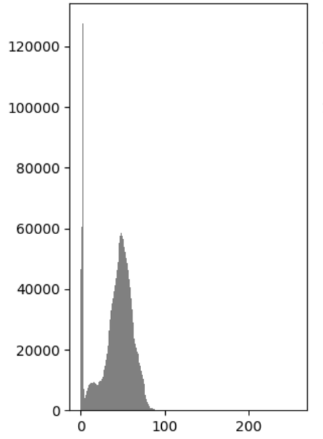 image-20231023224648628