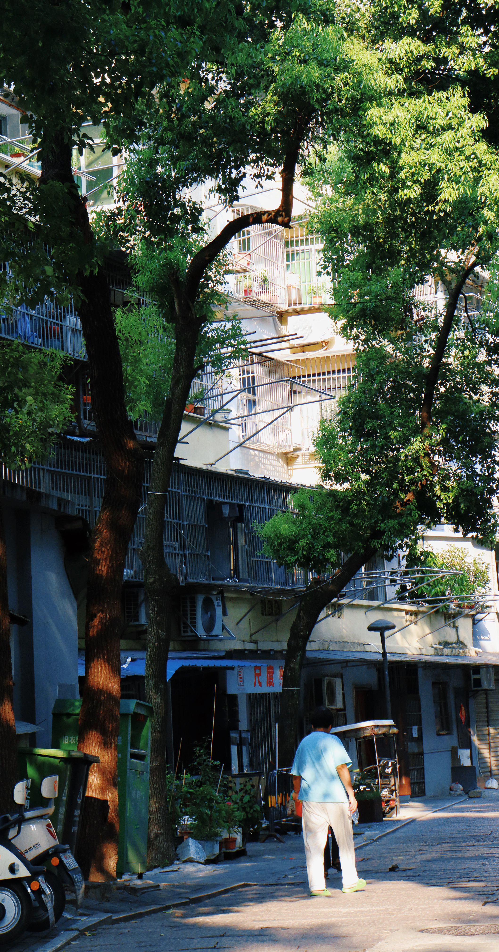 anqing