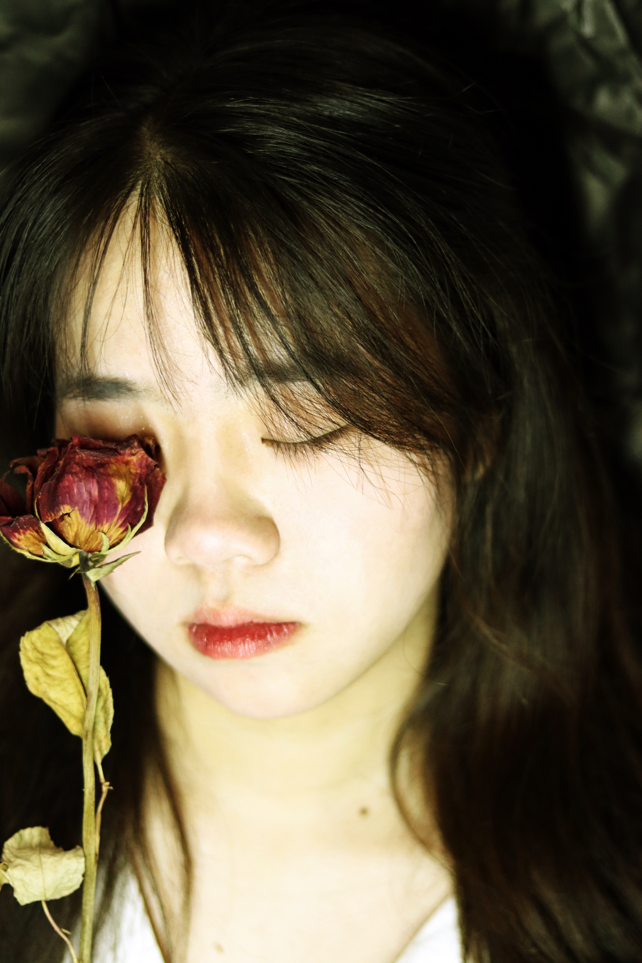 shanshan